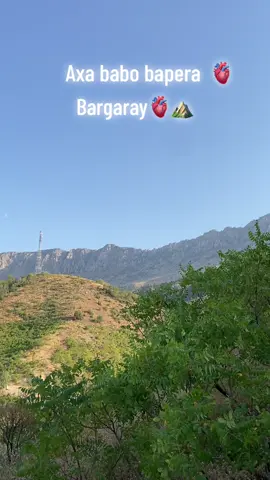 Bargaray 🫀✌️#bargaray🐆 #bargaray #bargaray #sheladze♥️👑_deralok_♥️sirye👑 #kurdistan 