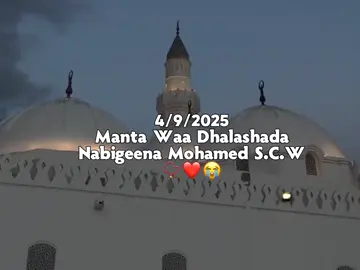 ku zalli nabiga zcw 10 qofna u sheer ❤🥰