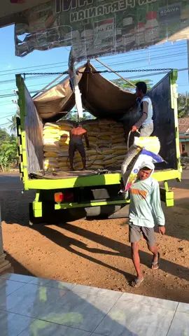 Tampilkan yang terbaik untuk versimu sendiri.. 😃 #petanimuda #bosmuda #petaniindonesia🇮🇩🇮🇩🇮🇩🌿🌿 #saprotanutama @Saprotan Utama #fertiphos 