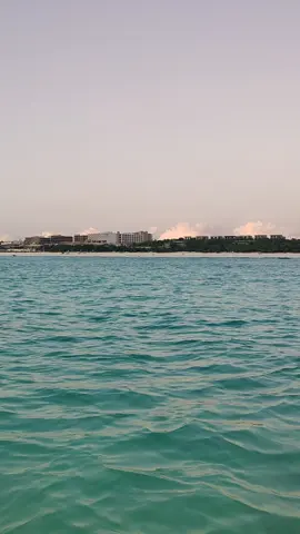🌍✨ Discover Zanzibar & Tanzania with Me! ✨🌍 I’m your local guide, offering the best experiences in Zanzibar! 🏝️🐬 🚤 Boat Tours: Mnemba Island (dolphins & snorkeling), Safari Blue, Sunset Cruise, Prison Island & Nakupenda Island 🌿 Land Tours: Jozani Forest, Spice Market, Stone Town, Malum & Salama Caves 🦁 Tanzania Safaris – Flights & Transfers Included! 📩 Book now! WhatsApp: +255 612 861 232 #ZanzibarAdventures #MnembaIsland #SafariBlue #DolphinTour #StoneTown 