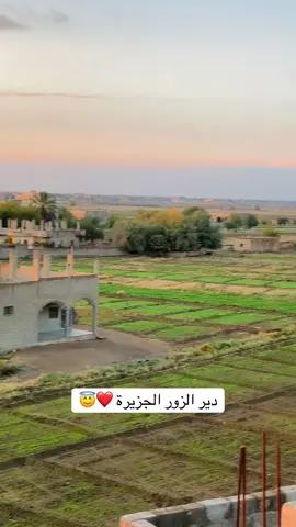 #انستا #بلبايو،🌝💕💕 #تصويري_احترافي_الاجواء👌🏻🕊😴 #اكسبلور 