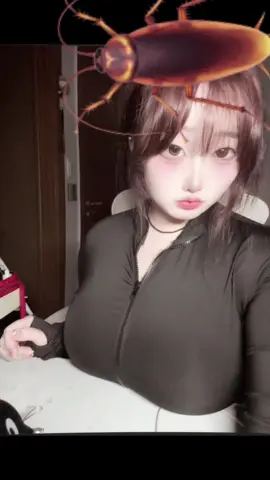 먹버인생 제갈주아