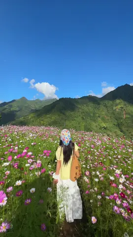 Yêu đời 🌸🌱🌼 #taxua #xuhuong #fyp #reviewtaxua #trend 