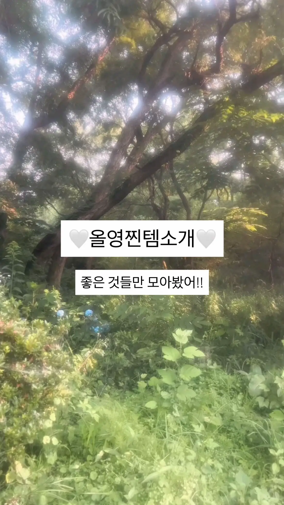 올리브영 화장품 추천 #올리브영 #올리브영추천템 #추천 