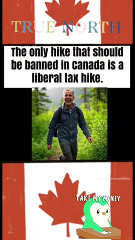 Canadians pay too much taxes #canada_life🇨🇦 #tiktoknews #virel #2025 #fypagee 