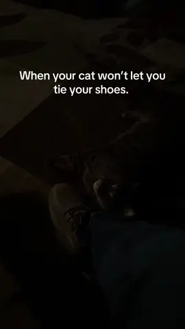 When your don’t let you get ready for work #fyp #catsoftiktok #comedy #catlover 