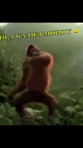 #zabawa #humor #smiech #jajaja @🐺🍀Wiola_li🍀_👑 🎧 @Black M @💪Barbara Agata💪TEAM❤️DjK @Marzanna Redka @Diablica 😈 @iskierka_zakochana w siłowni @Fasolka @Pikachu.Warszawa. @ania_m @Krzysztof TK @Aguś Aguśka @Opętany Diabel @ASIECZKA JEST TYLKO MIRECZKA❤️ @Bydgoski Pikachu @🍬Cuks🍬 @🩸𝄟꧁༺𝓑𝓪𝓼𝓲𝓪༻꧂𝄟🩸 @Moto góraleczka @ChickenRider @Agnes Starostecka @🖤🖤VIKA🖤🖤 @FryzjerkaEwaSłubice @Dorcia @🤍🪽🤍 Justina 🤍🪽🤍 @Monia_K @☆•☆Monika ☆•☆ @Alissa @Alicja😊 @inspektor1545💙💚 @💚Żabcia ZX6R💚💛🖤 @🇵🇱Edzia🇩🇪 