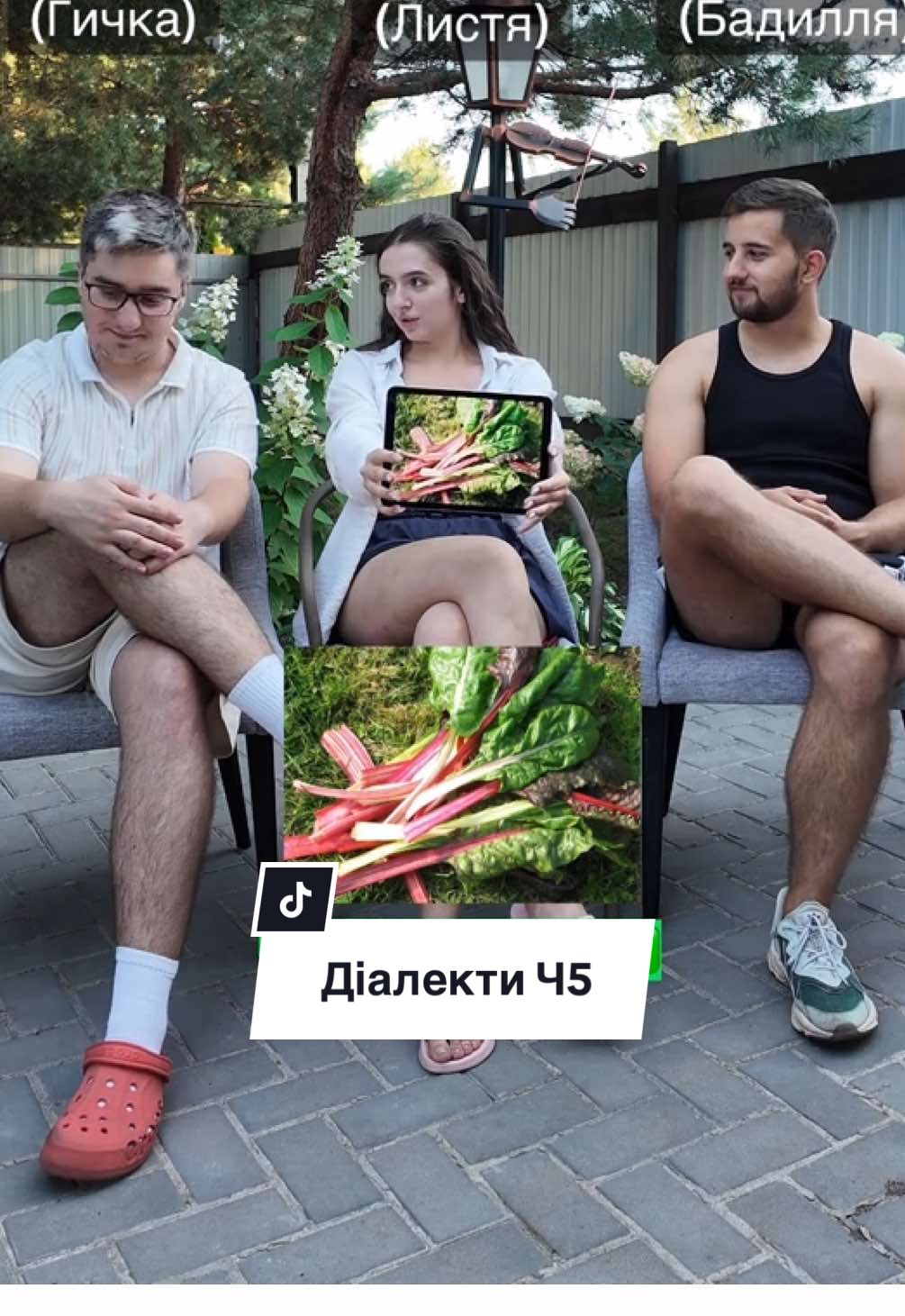 Відео створене в розважальних цілях, для відображення цікавих діалектів з різних областей України. Міста на відео - де ми народились, ми говоримо лише за себе (що чули ми), а не за все місто в цілому 🫶🏻