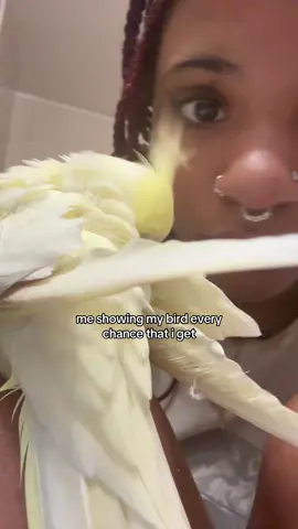 dusty ahh #fyp #birdsoftiktok 
