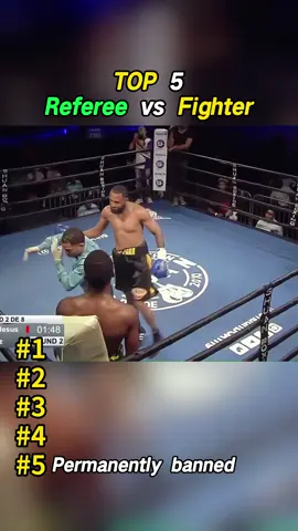 Top 5 Referee vs Fighter#usa #fight 