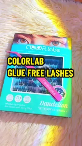 no glue needed eyelash extension✨🥰 #gluefreeeyelashes #clusterlashes #eyelashextensions #diybeauty #fyp 