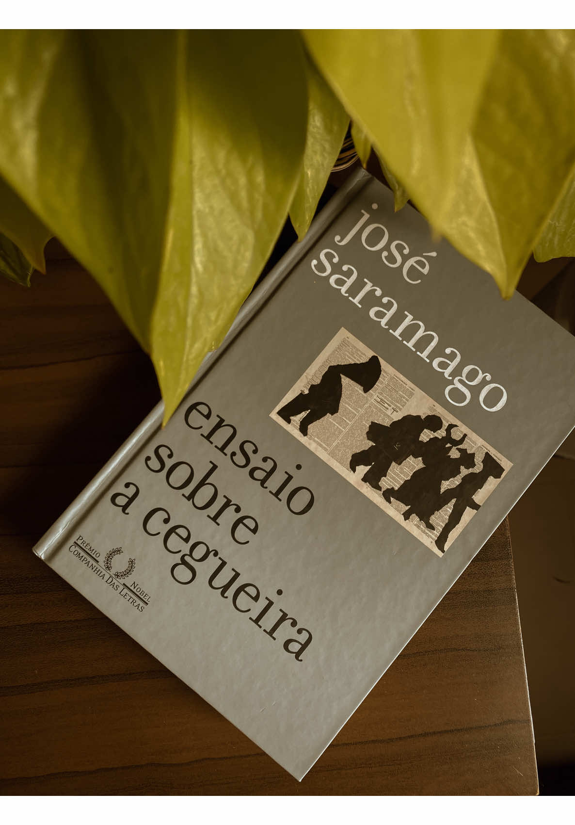 5 motivos para ler Saramago  #livros #livrostiktok #booktokbrasil #booktoker #livrosclassicos 