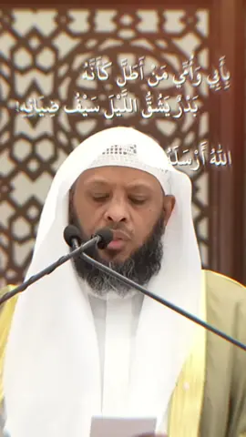 بأبي وأمي من أطل كأنه بدر يشق الليل سيف ضيائه  | الشيخ #توفيق_الصايغ || #صلوا_على_رسول_الله #اكسبلور #اسلام #fyp 