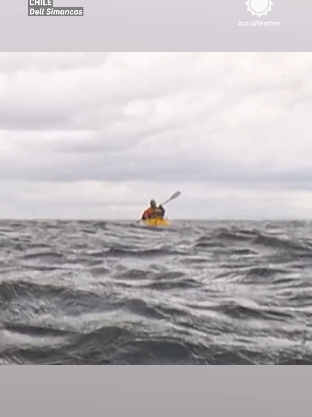 #台風気象情報、台風第15号 #Tsunami Humpback Whale Swallows Kayaker, Spits Him Out