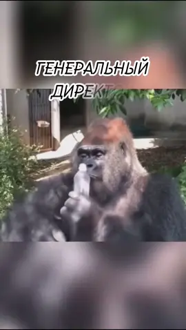 #ВэтотДень 