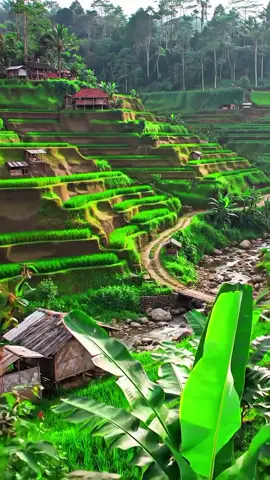 Sejuk