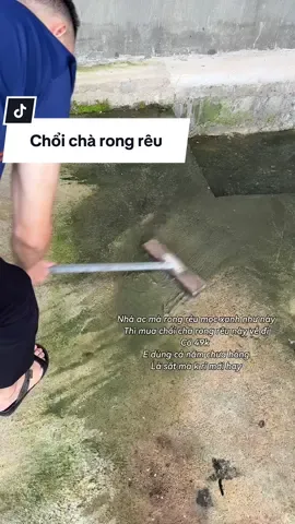 Nhà có rong rêu mọc nhiều mua chổi này về chà vài đường là sạch#choichasan #choicharongreu #choichareu #xuhuong 