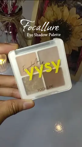 love this eyeshadow !!🫶🏻 #focallureeyeshadow #matteeyeshadow 