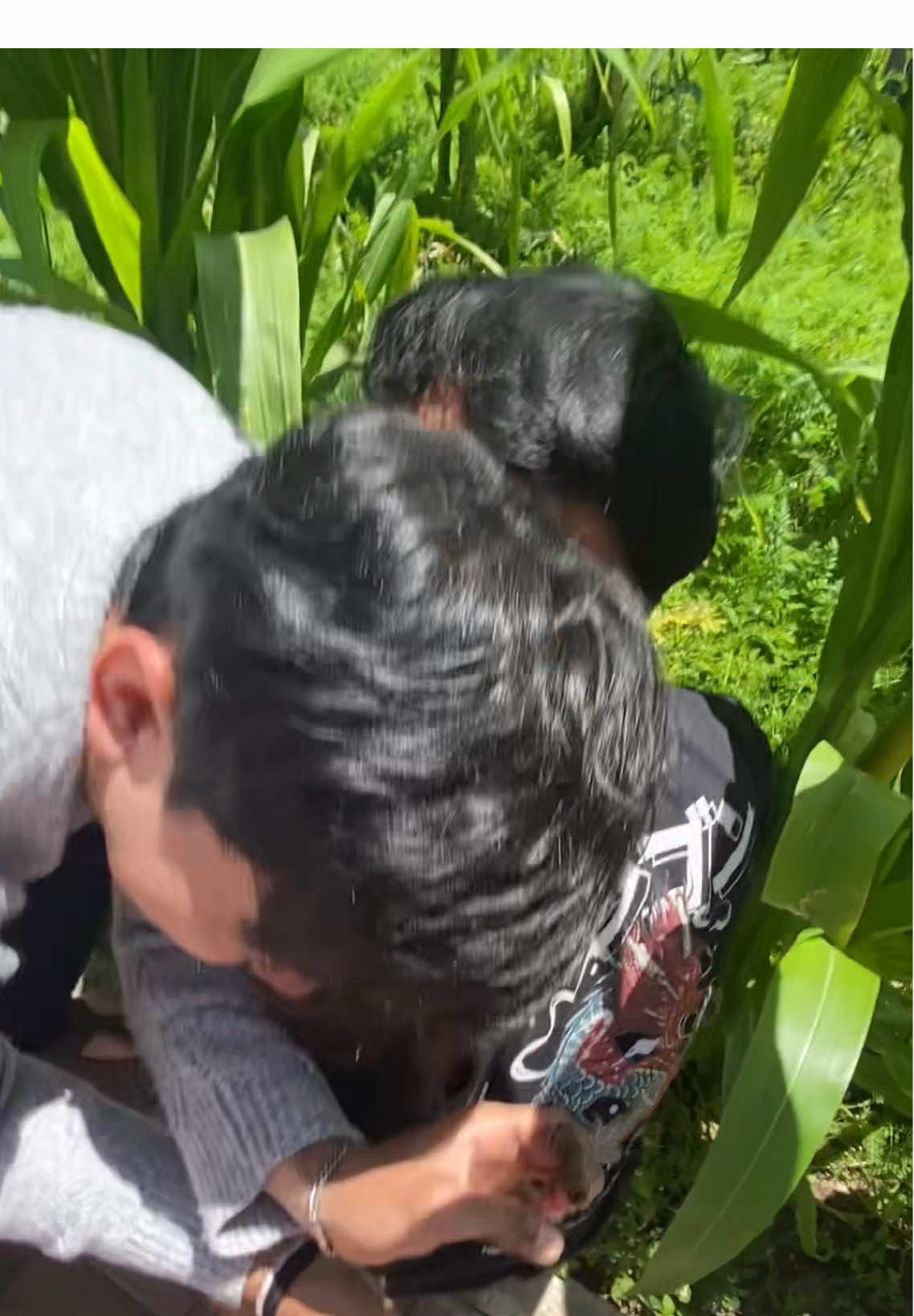 Emg pintar adekku ini 😭