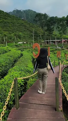 kelak kamu akan merindukan ku sebagai sesuatu yang tidak akan pernah kamu temukan pada siapapun #fyp #jember #gununggambir_kebunteh🌿jember #promoseruweekend 