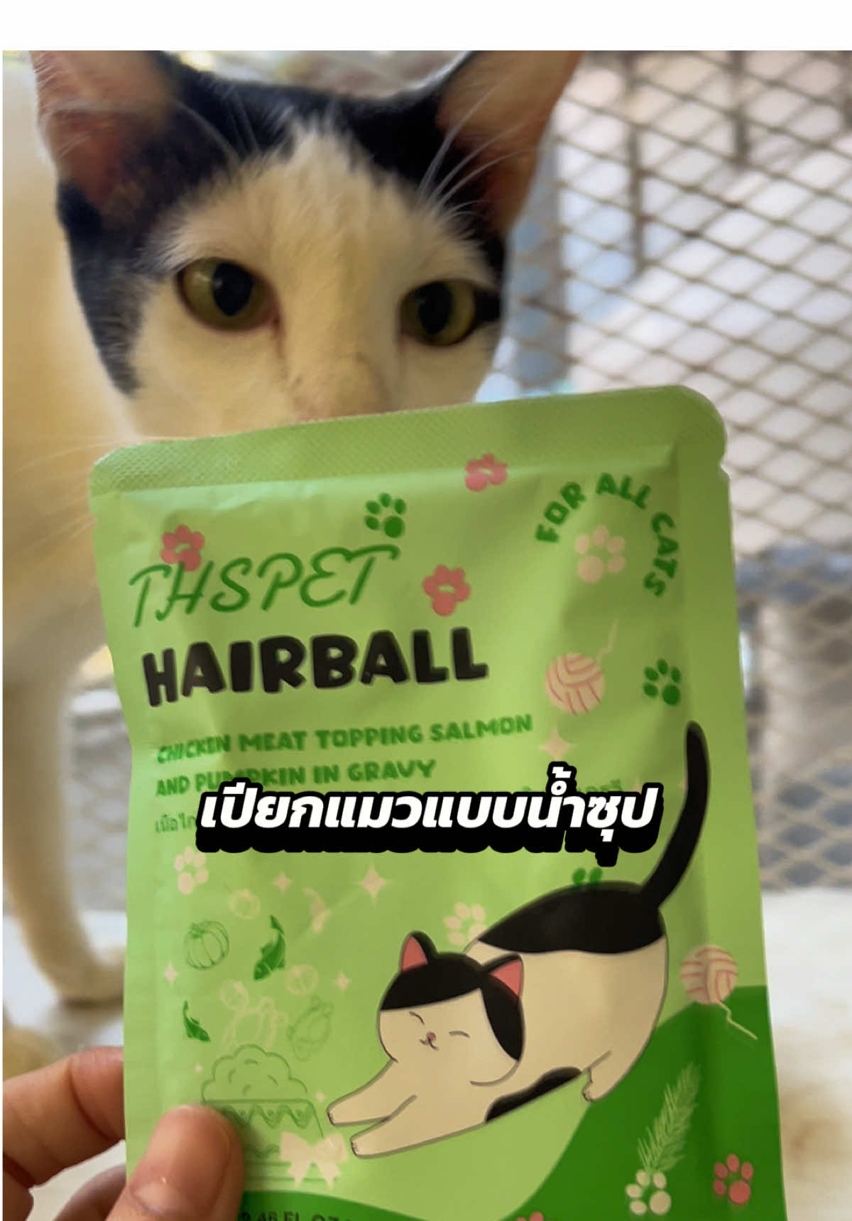 เปียกแมวแบบน้ำซุบ เจ้มข้นด้วยโปรตีนจากเนื้อสัตว์ ผัก ผลไม้และแร่ธาตุต่างๆ ไม่เติมเหบือดีต่อสุขภาพน้องๆ #เปียกแมว #อาหารแมว #อาหารเปียกแบบน้ําซุป #เปียกแมวไม่เติมเกลือ 