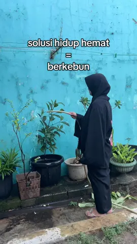 ada yg rumahnya tema nya grow a garden juga?