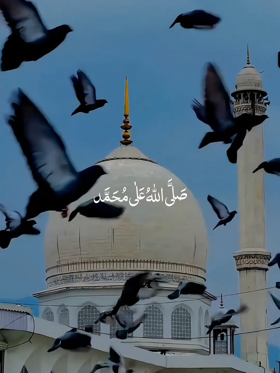 Sallallahu Ala Muhammad . . . . #nasheed #islamicstatus #viralvideos #muslimtiktok  #qalbibeats 
