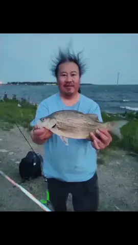 #tarcorcon #fish #flashwarning 