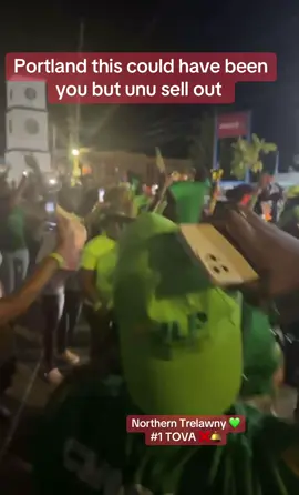 💚💚💚 #jamaicaelection2025 #labourite #portlandjamaica #jamaicaelection #portlandelection 