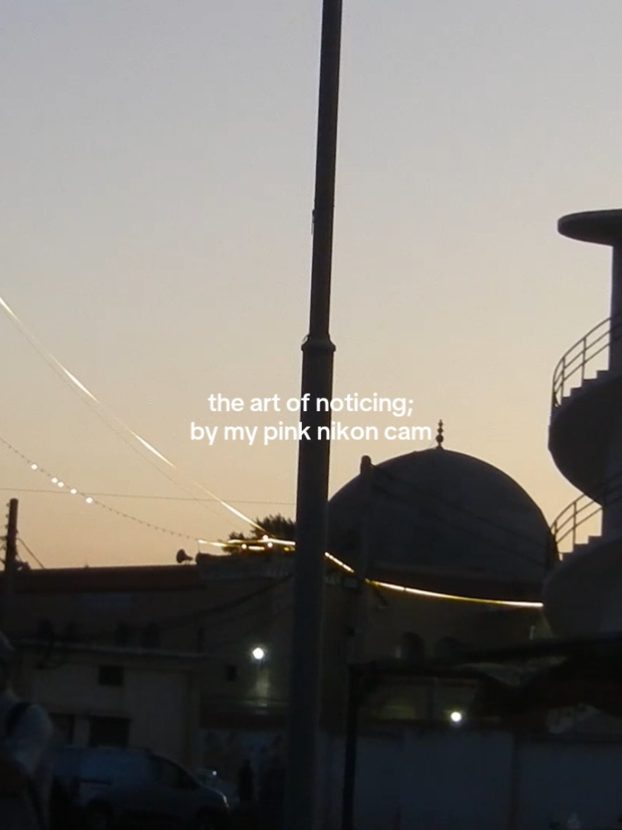 The art of noticing that every small thing is worth stopping for and glancing at, even if just for a moment.  #fyp #xyzcba #Vlog #art 