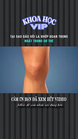 TẠI SAO ĐẦU GỐI LÀ KHỚP QUAN TRỌNG NHẤT TRONG CƠ THỂ #xh #LearnOnTikTok #khoahocvip #xhtiktok #khampha 