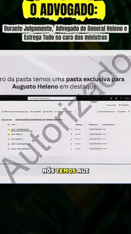 Durante Julgamento de General Heleno , Advogado confronta Juízes.  por mais de 80 TeraBytes desorganizados para Confunfir a Defesa.  #patriota #direita #GeneralHeleno #bolsonaro #tagliaferro 