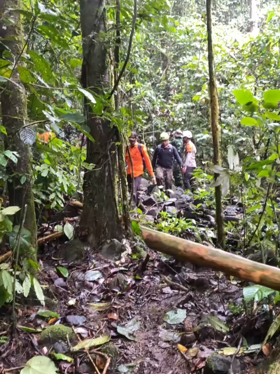 Proses evakuasi jenazah korban helikopter PK-RGH yang jatuh di Mantewe, Tanah Bumbu, Kalimantan Selatan, telah dimulai pada Kamis pagi, 4 September 2025. Berikut rincian proses evakuasi : *Lokasi Evakuasi : Evakuasi  dilakukan di hutan belantara Pegunungan Meratus, Kecamatan Mantewe, Tanah Bumbu, yang memiliki medan sangat menantang. *Tim Evakuasi : Tim SAR gabungan, TNI, Polri, BPBD, dan relawan bekerja sama untuk mengevakuasi jenazah korban. *Kondisi Jenazah : Sebagian jenazah ditemukan dalam keadaan utuh, sementara beberapa lainnya terbakar di dalam badan helikopter. Salah satu korban bahkan ditemukan terlempar sekitar 100 meter dari lokasi utama puing. *Jumlah Korban : Delapan orang ditemukan meninggal dunia, termasuk 4 WNI dan 4 WNA. *Tujuan Evakuasi : Jenazah korban dievakuasi ke posko yang didirikan SAR gabungan dan kemudian akan dibawa ke Rumah Sakit Bhayangkara untuk proses identifikasi lebih lanjut. *Kendala Evakuasi : Kondisi helikopter yang terbakar dan medan hutan yang rimbun serta cuaca tidak menentu memperlambat proses evakuasi. Identitas korban yang ditemukan antara lain ¹: *Kapten Haryanto* (Pilot, WNI) *Hendra* (Engineer, WNI) - *Mark Werren* (Penumpang, Warga Amerika Serikat) - *Santha Kumar* (Penumpang, Warga India) - *Claudine Quito* (Penumpang, Warga Brasil) - *Yudi Febrian* (Penumpang, WNI dari Pekanbaru, Riau) - *Andys Rissa Pasulu* (Penumpang, WNI) - *Iboy Irfan Rosa* (Penumpang, WNI)#mantewe #helicopter #tanahbumbu #radar 