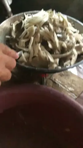 ligbos