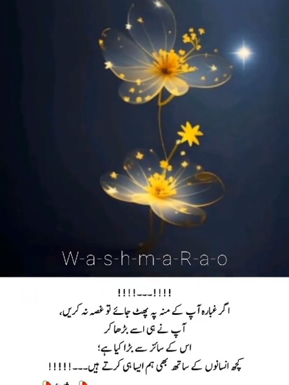 بڑے عجیب سلسلے ہیں اس محبت اور عشق کے۔۔۔ کوئی وفا کے لئے رویا اور کوئی وفا کر کے رویا۔۔۔۔ #urduline #foryoupage❤️❤️ #foryou #viralvidoes #urduline 