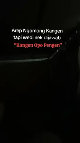 #wongTulus #kangen#pelaut #kerinduan #StoryKu 