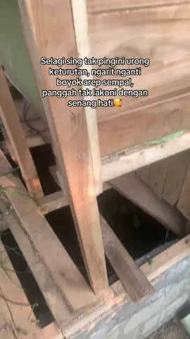 #peternakkambing #peternakmuda #sobatngaret #blitar24jam #fypシ 