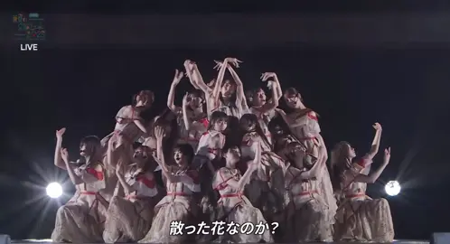 @Koko ←part5 Same numbersフルサイズ！#乃木坂46_Samenumbers #真夏の全国ツアー2025神宮 #賀喜遥香 #一ノ瀬美空 #川崎桜