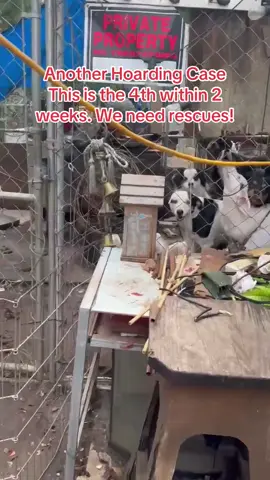 Located near Marble Falls, Tx. We need more animal rescues to help! Please comment, like, and share!! We need you!