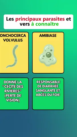 Les parasites les plus flippants qui existent 😳🪱  #parasite #sante #danger #nature #hygiene