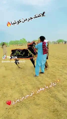 #creatorsearchinsightsvairaltiktok 