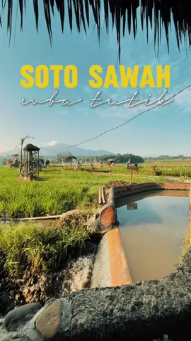 soto mewah (mepet sawah) di semarang yang TOP MARKOTOP #kuliner #kulinertiktok #kulinersemarang #kulinerindonesia #semarang #jajanantiktok #viral #fyp #fypシ #foryou #soto #sotoayam #sotosawahmbaktutik #CapCut 
