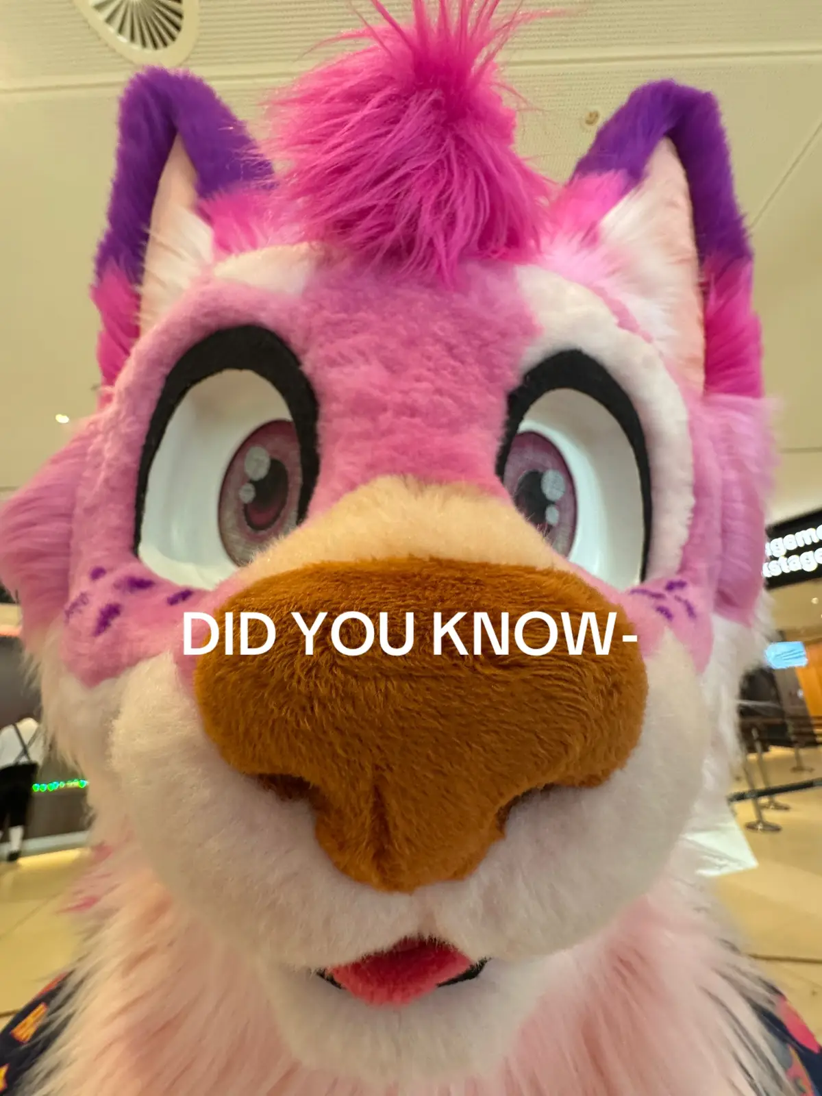 #DidYouKnow 