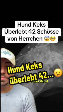 Hund Keks Überlebt 42 Schüsse von Herrchen 😱🥺 #tierliebe #hunde #hundeliebe #tierschutz #kevinyanik 