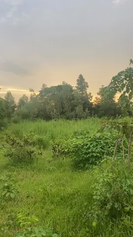 នេះក្មេងសៀមកំពុងឈ្លានពានទឹកដីខ្មែរយើង4-9-2025
