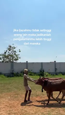 #promoseruweekend #kerapansapimadura #masukberandafyp #fypviraltiktok🖤シ゚☆♡ 
