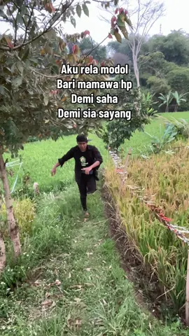 Demi saha 
