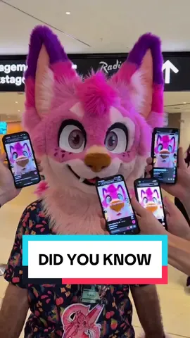 @Kokou DIDJUKNOW #DidYouKnow #furry #furryfandom #littlealphapup 
