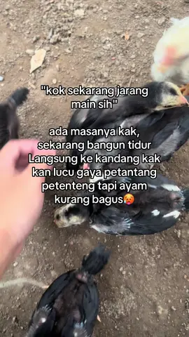 Harus bangun lebih pagi sebelum beraktifitas🥵.                   #bangkokselatan #masukberanda #drumband🥁 #fypage #brakotbrutal 