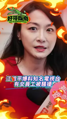#江祖平 的爆料讓你想到誰了🤡雖然被冥進洞壓案吃案，但網路都是有記憶的喔😅 #三立 #民進黨 #性騷擾